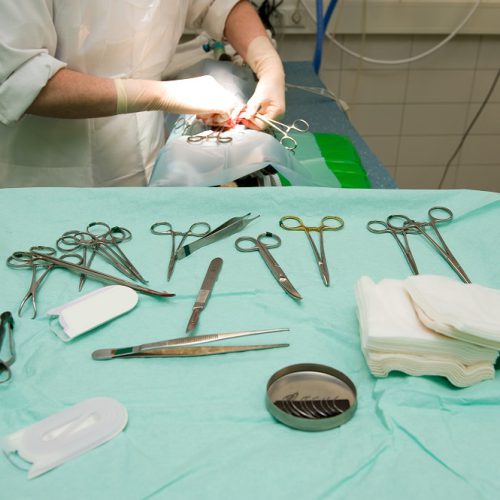 The tools of a veterinarian while he is sterilizing a dog in a clinic