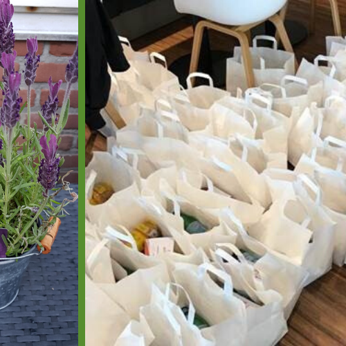 Dag van de Verpleging